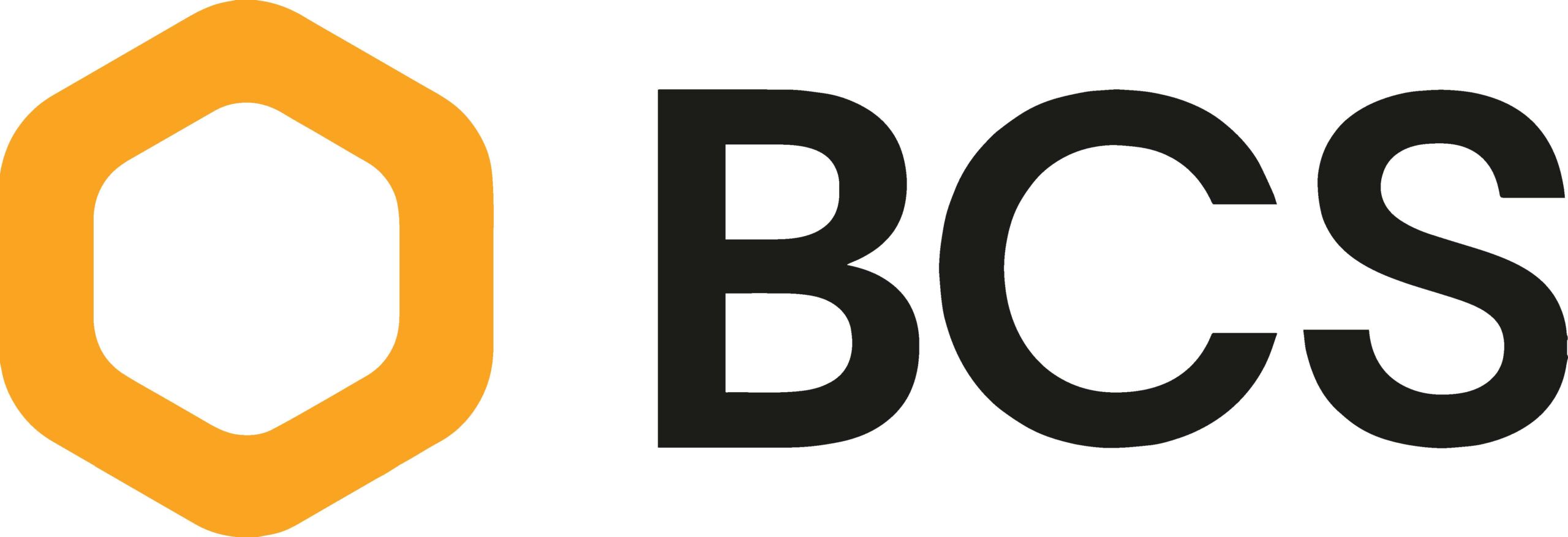 BCS_ Yellow_ 01 2024